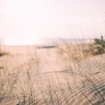 mourad-saadi-FP-IARaDjnw-unsplash